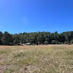 Cabana Alerce Villarrica