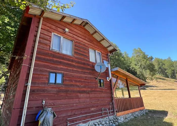 Cabana Alerce Villarrica